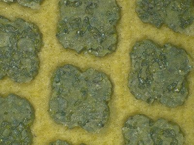 Diamante Cinturón Abrasivo