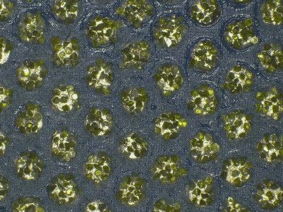 Diamante Cinturón Abrasivo